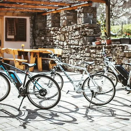 Apartma Moser Podnanos Zewnętrze zdjęcie