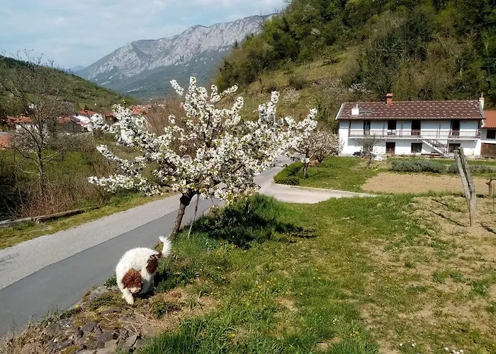 Apartma Moser