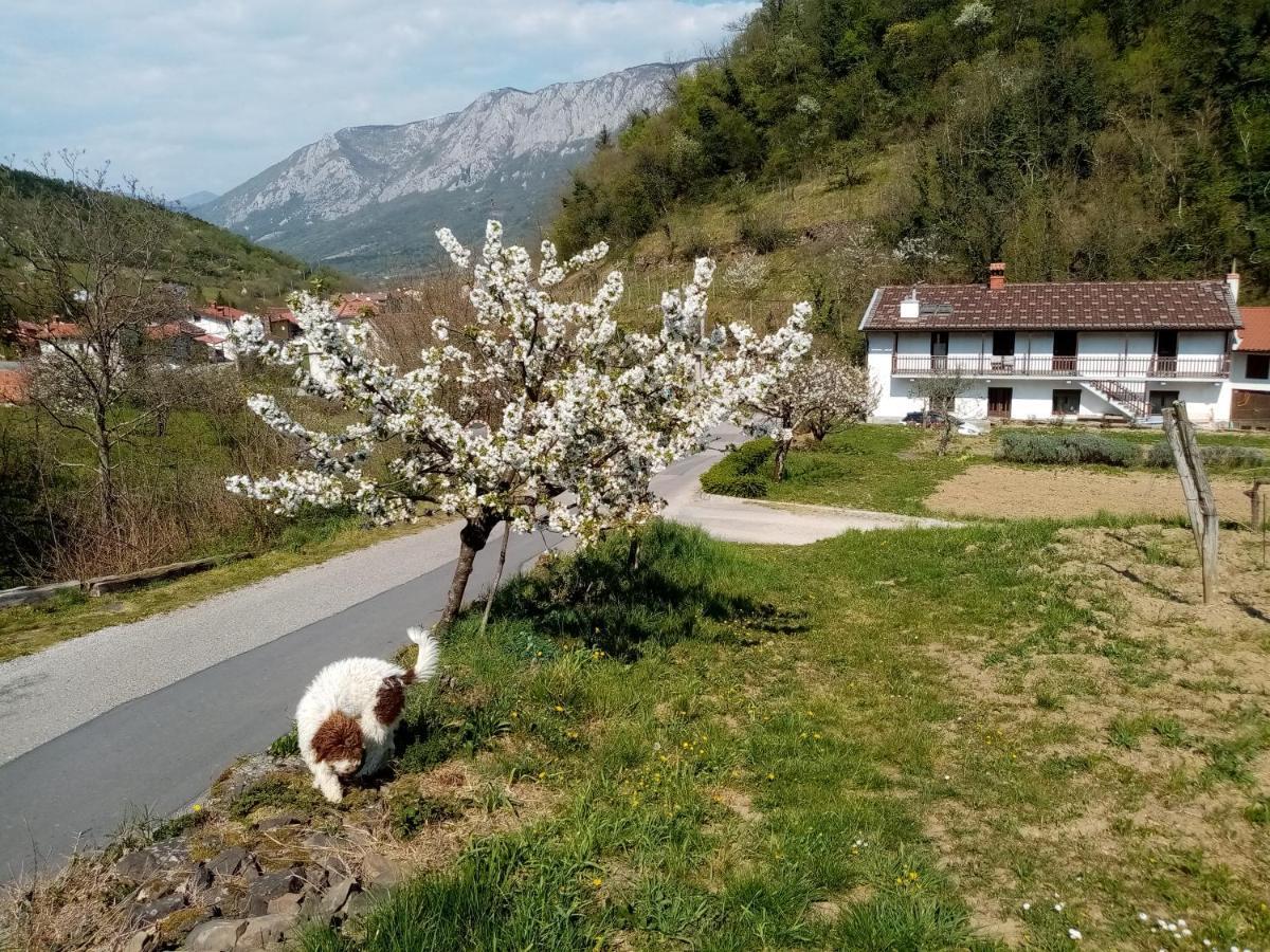 Apartma Moser